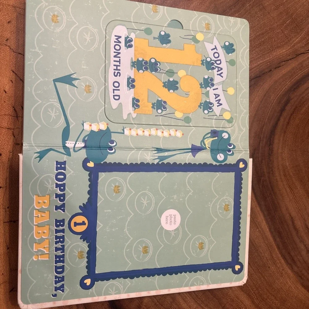 Baby's First Year Photo Gallery : Album with 12 Monthly Photo Car